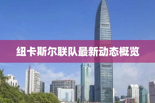 紐卡斯?fàn)柭?lián)隊(duì)最新動態(tài)概覽