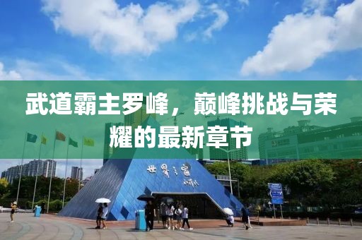 武道霸主羅峰，巔峰挑戰(zhàn)與榮耀的最新章節(jié)