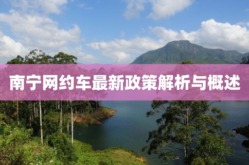 南寧網(wǎng)約車最新政策解析與概述