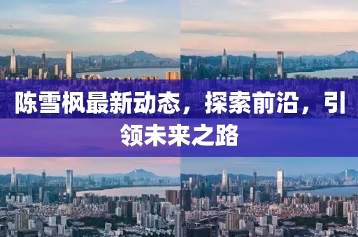 陳雪楓最新動態(tài)，探索前沿，引領未來之路