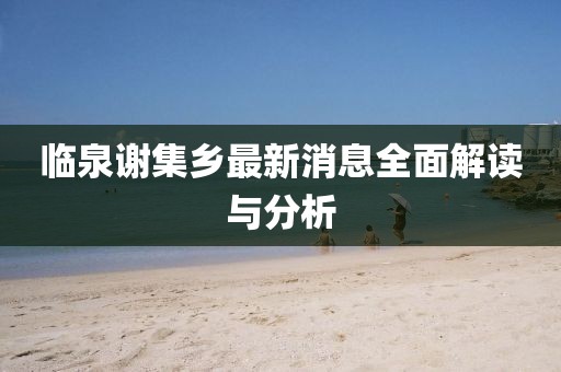 臨泉謝集鄉(xiāng)最新消息全面解讀與分析