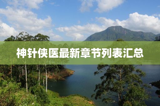 神針俠醫(yī)最新章節(jié)列表匯總