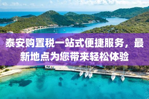 泰安購(gòu)置稅一站式便捷服務(wù)，最新地點(diǎn)為您帶來(lái)輕松體驗(yàn)