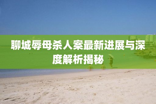 聊城辱母殺人案最新進(jìn)展與深度解析揭秘