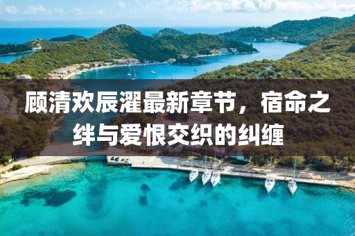顧清歡辰濯最新章節(jié)，宿命之絆與愛恨交織的糾纏