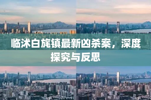 臨沭白旄鎮(zhèn)最新兇殺案，深度探究與反思