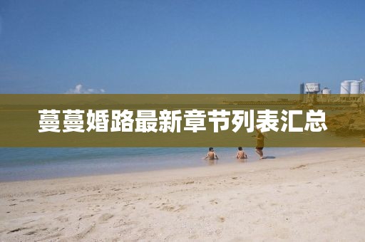 蔓蔓婚路最新章節(jié)列表匯總