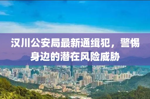 漢川公安局最新通緝犯，警惕身邊的潛在風險威脅