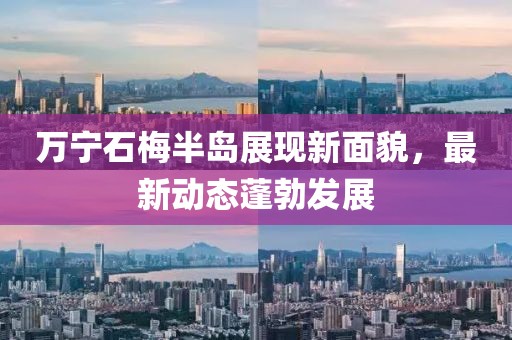 萬寧石梅半島展現(xiàn)新面貌，最新動(dòng)態(tài)蓬勃發(fā)展