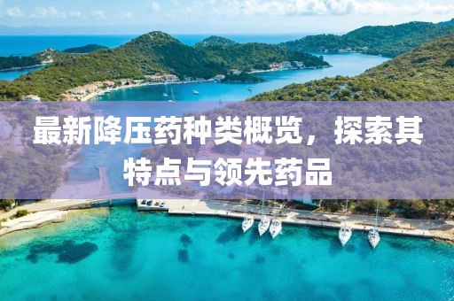 最新降壓藥種類概覽，探索其特點與領(lǐng)先藥品