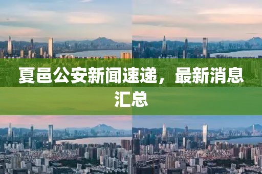 夏邑公安新聞速遞，最新消息匯總