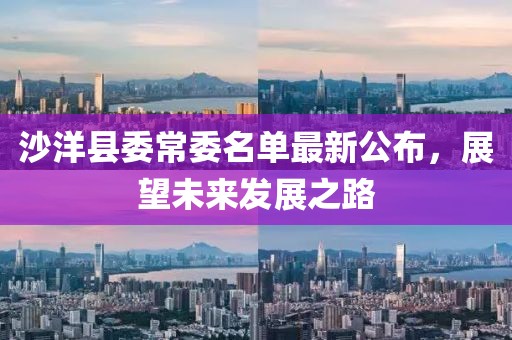 沙洋縣委常委名單最新公布，展望未來(lái)發(fā)展之路