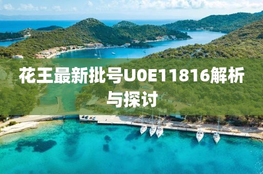花王最新批號U0E11816解析與探討
