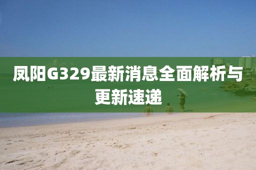 鳳陽(yáng)G329最新消息全面解析與更新速遞