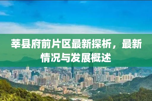 莘縣府前片區(qū)最新探析，最新情況與發(fā)展概述