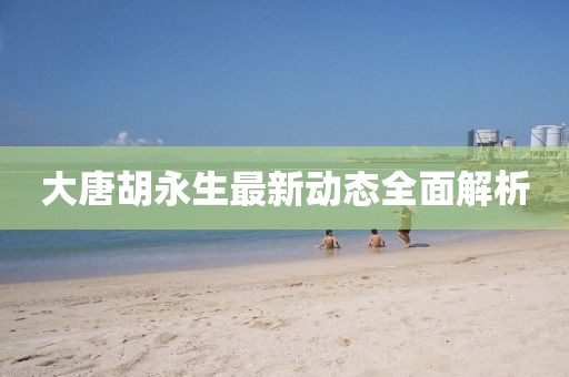大唐胡永生最新動(dòng)態(tài)全面解析