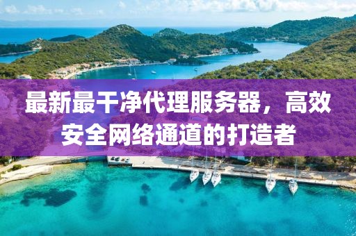 最新最干凈代理服務器，高效安全網(wǎng)絡通道的打造者