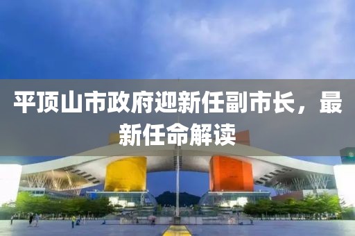 平頂山市政府迎新任副市長，最新任命解讀