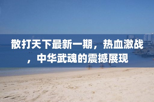 散打天下最新一期，熱血激戰(zhàn)，中華武魂的震撼展現(xiàn)