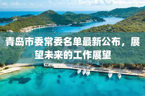 青島市委常委名單最新公布，展望未來(lái)的工作展望