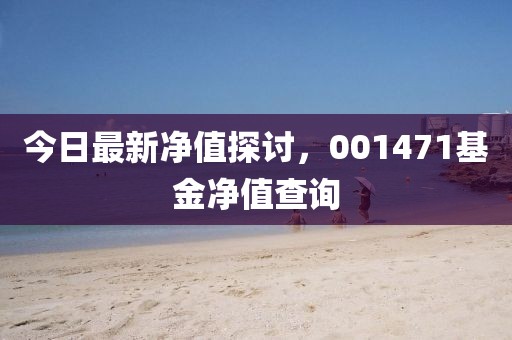 今日最新凈值探討，001471基金凈值查詢