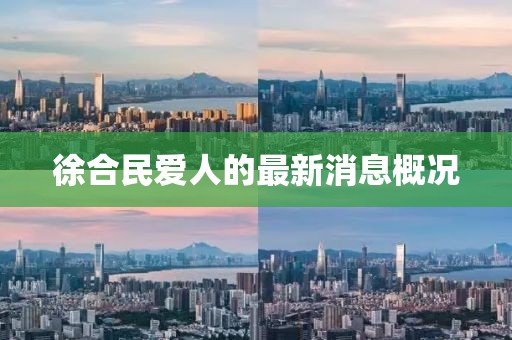 徐合民愛人的最新消息概況