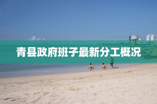青縣政府班子最新分工概況
