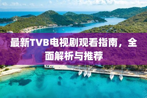 最新TVB電視劇觀看指南，全面解析與推薦