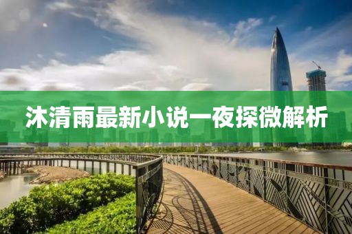 沐清雨最新小說一夜探微解析