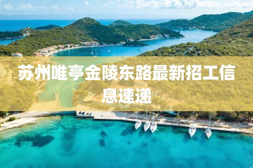蘇州唯亭金陵?yáng)|路最新招工信息速遞