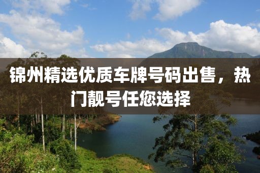錦州精選優(yōu)質(zhì)車牌號碼出售，熱門靚號任您選擇