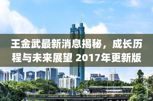 王金武最新消息揭秘，成長歷程與未來展望 2017年更新版