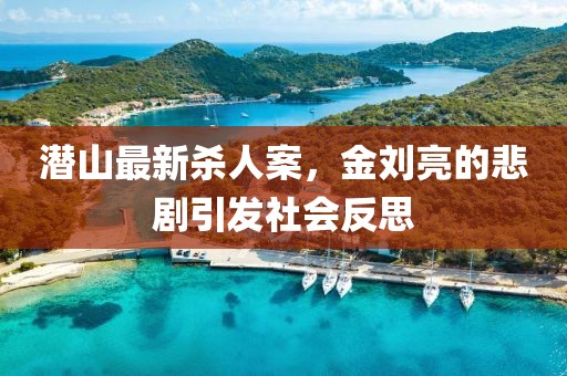 潛山最新殺人案，金劉亮的悲劇引發(fā)社會(huì)反思
