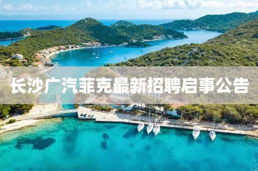 長沙廣汽菲克最新招聘啟事公告