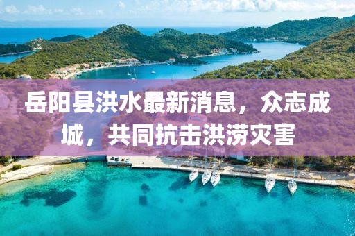 岳陽縣洪水最新消息，眾志成城，共同抗擊洪澇災(zāi)害