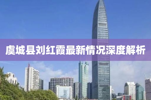 虞城縣劉紅霞最新情況深度解析