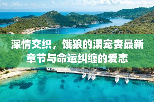 深情交織，餓狼的溺寵妻最新章節(jié)與命運(yùn)糾纏的愛戀