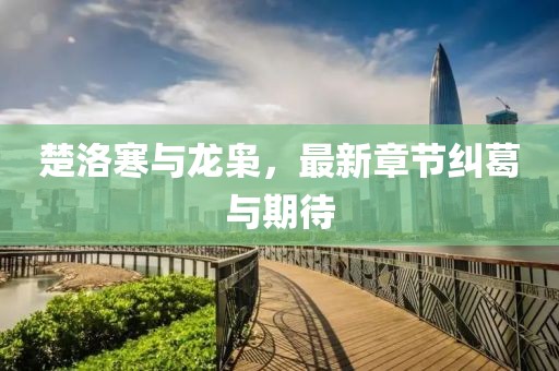 楚洛寒與龍梟，最新章節(jié)糾葛與期待