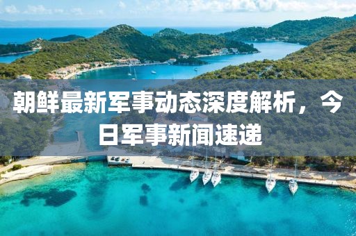 朝鮮最新軍事動態(tài)深度解析，今日軍事新聞速遞
