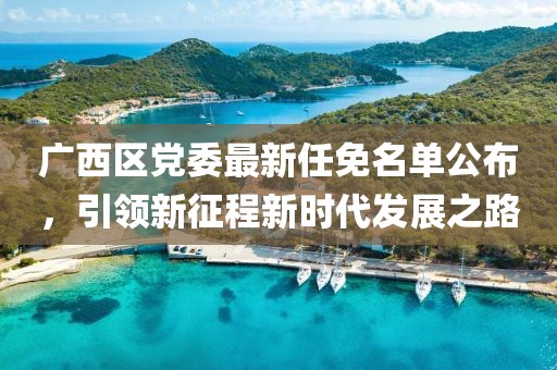 廣西區(qū)黨委最新任免名單公布，引領(lǐng)新征程新時代發(fā)展之路