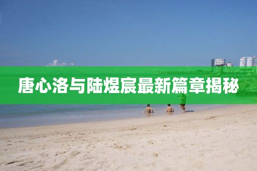 唐心洛與陸煜宸最新篇章揭秘