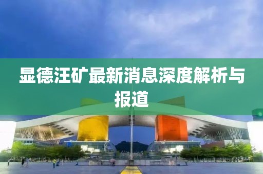 顯德汪礦最新消息深度解析與報道