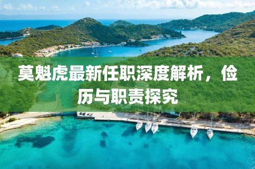 莫魁虎最新任職深度解析，儉歷與職責(zé)探究