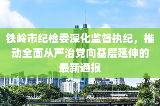 鐵嶺市紀(jì)檢委深化監(jiān)督執(zhí)紀(jì)，推動全面從嚴(yán)治黨向基層延伸的最新通報
