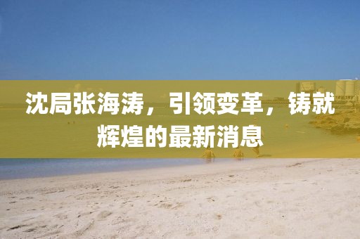 沈局張海濤，引領(lǐng)變革，鑄就輝煌的最新消息