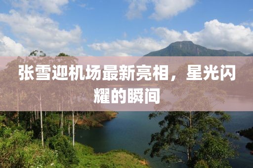 張雪迎機(jī)場(chǎng)最新亮相，星光閃耀的瞬間