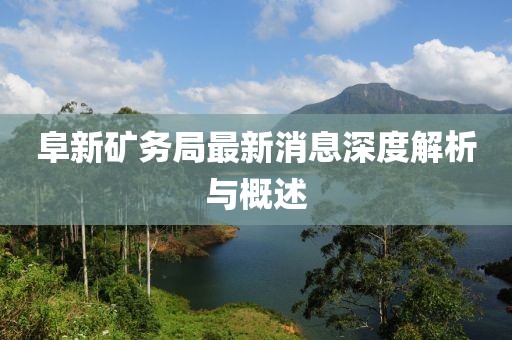 阜新礦務(wù)局最新消息深度解析與概述
