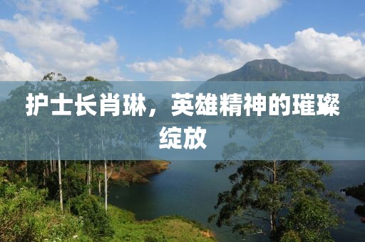 護士長肖琳，英雄精神的璀璨綻放