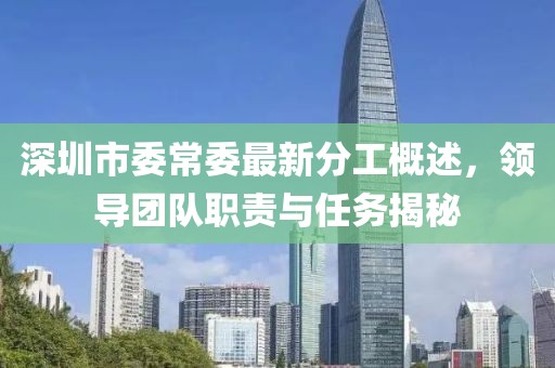 深圳市委常委最新分工概述，領導團隊職責與任務揭秘