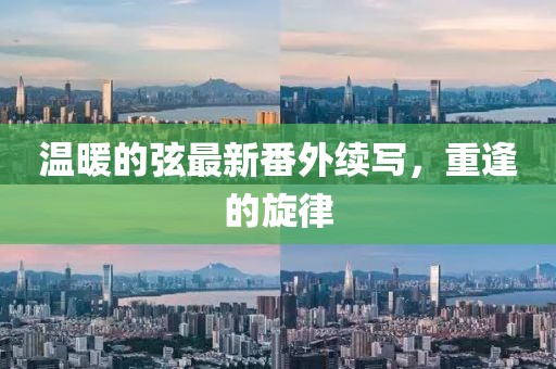 溫暖的弦最新番外續(xù)寫，重逢的旋律